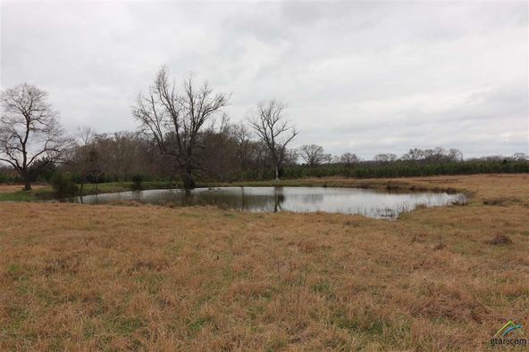 tbd cr 4114: tbd cr 4114, Pittsburg, TX 75686
